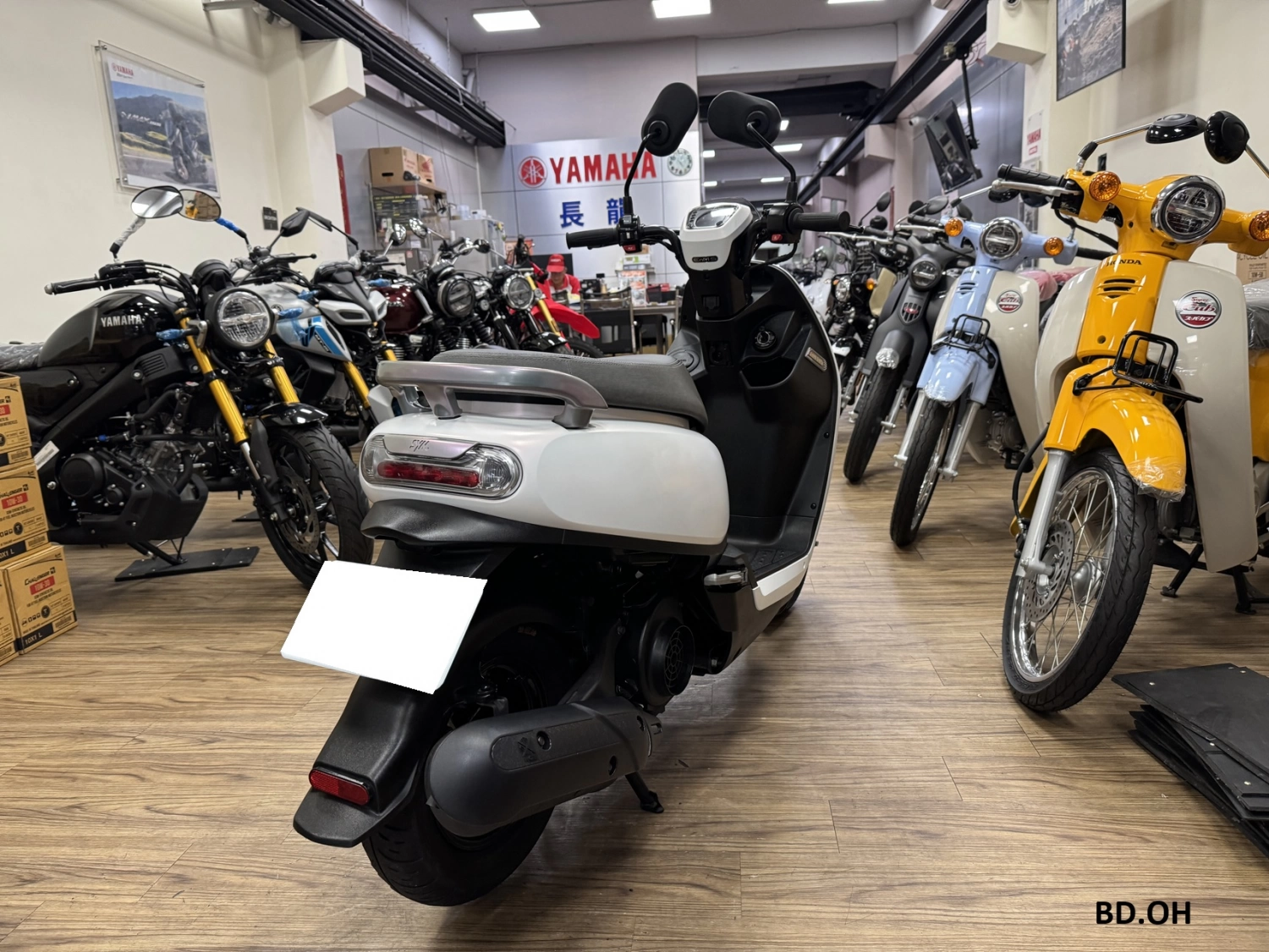 SYM/三陽 CLBCU 蜂鳥125 2024款 車輛照片