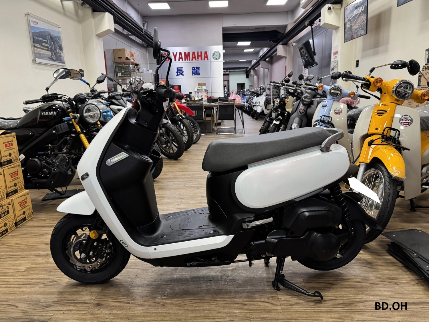 SYM/三陽 CLBCU 蜂鳥125 2024款 車輛照片