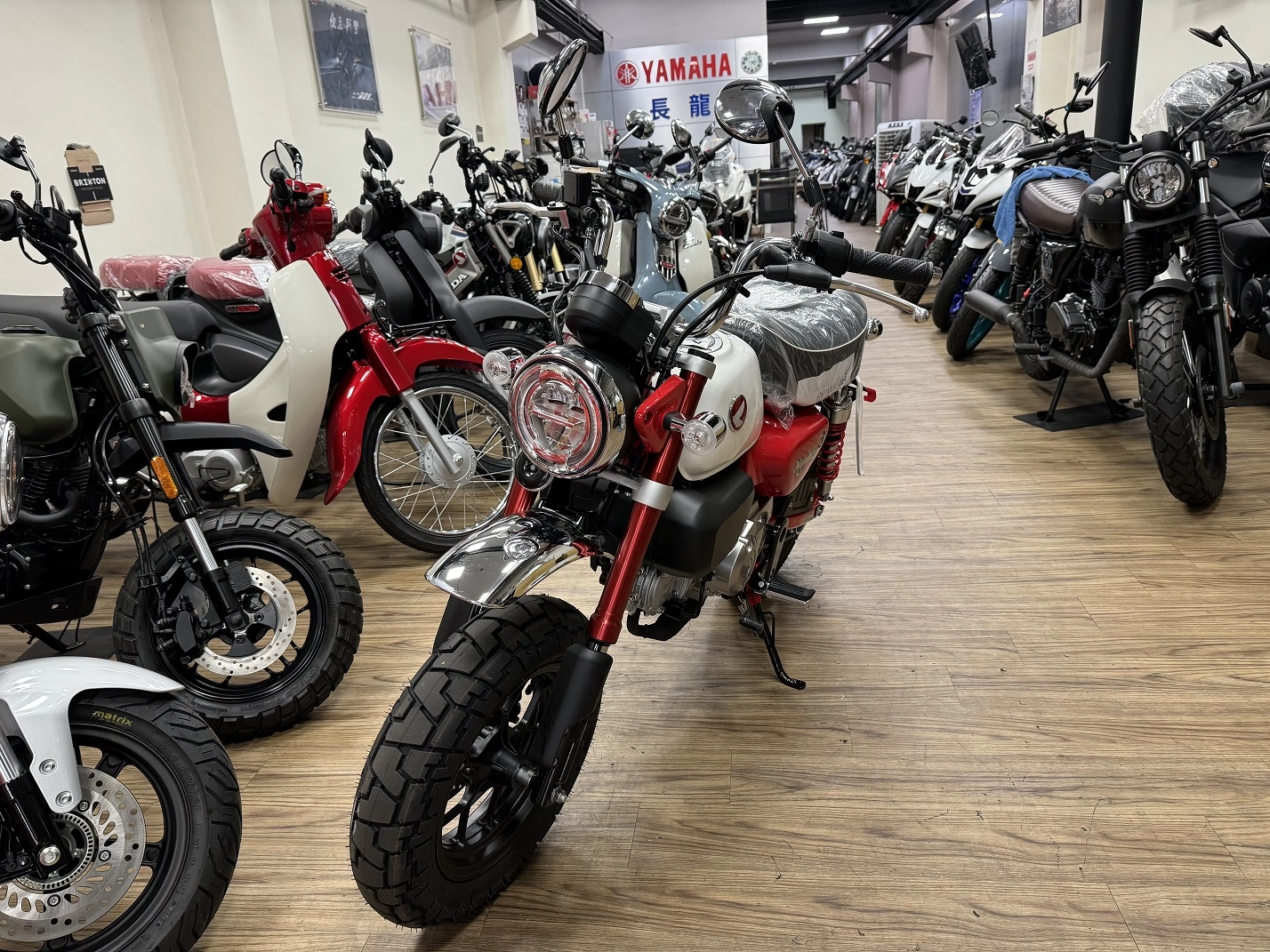 Honda/本田 MONKEY 125 2025款 車輛照片