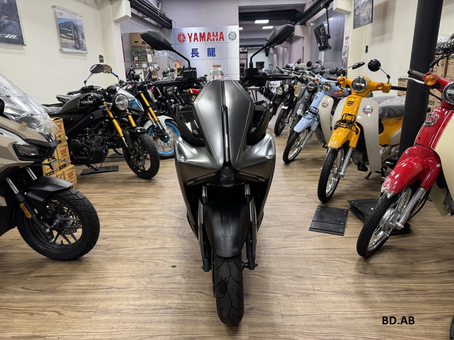 YAMAHA/山葉 AUGUR 155 2024款 車輛照片