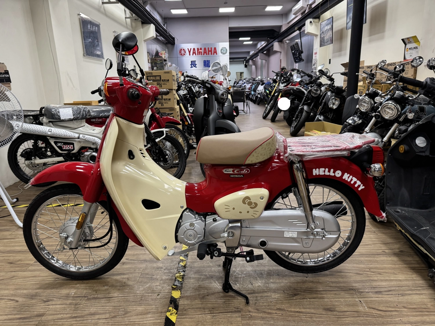 Honda/本田 SC50 KITTY 2025款 車輛照片