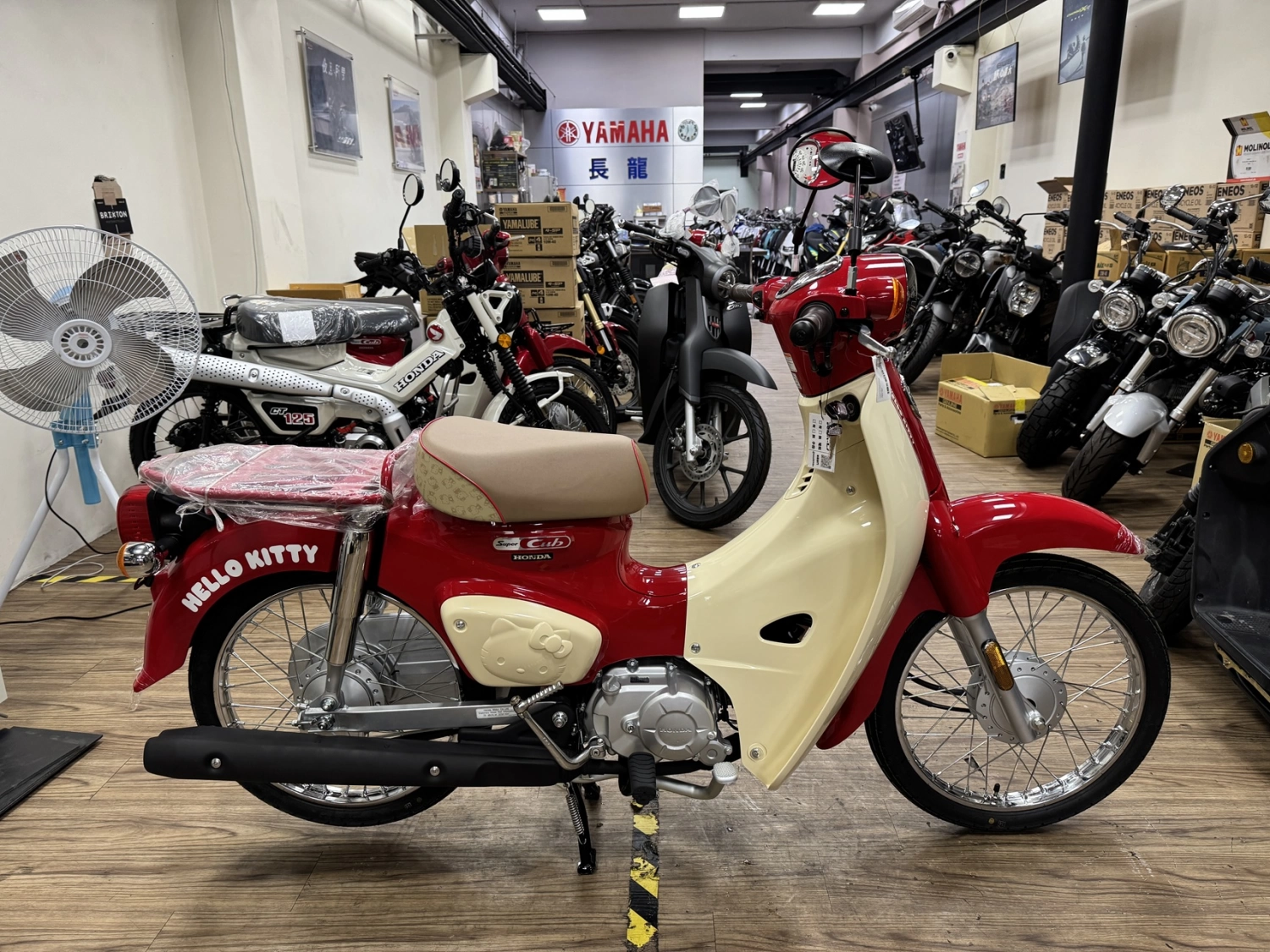 Honda/本田 SC50 KITTY 2025款 車輛照片
