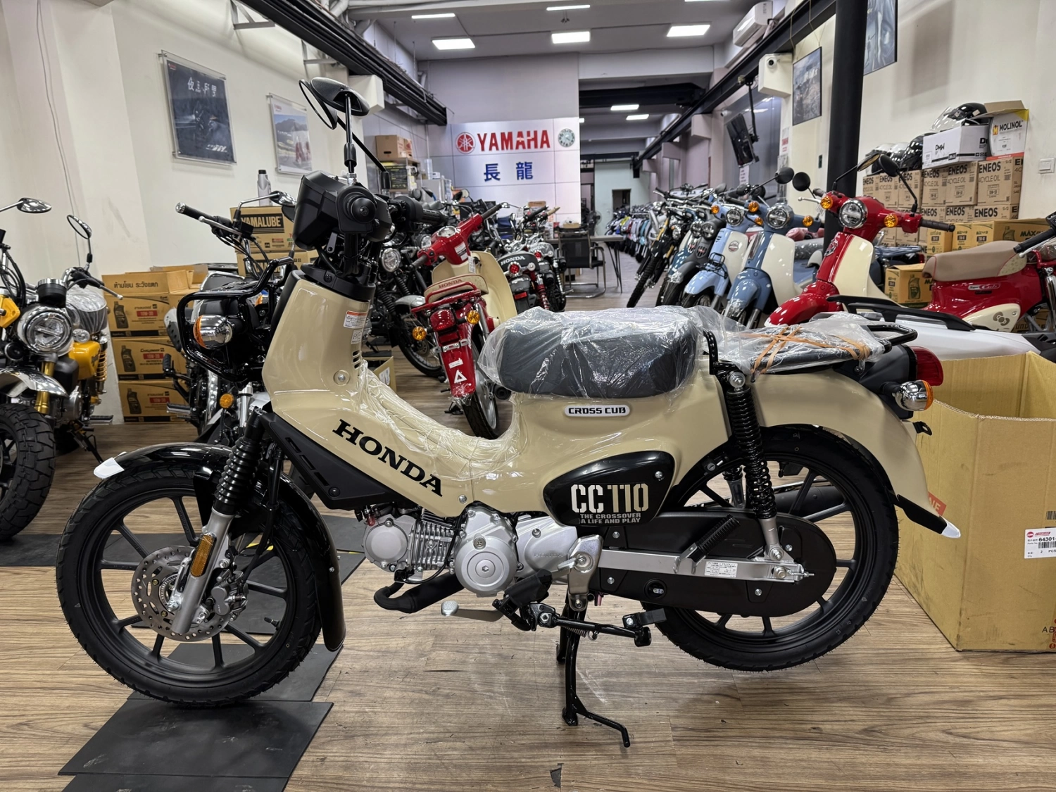 Honda/本田 CC110  2026款 車輛照片