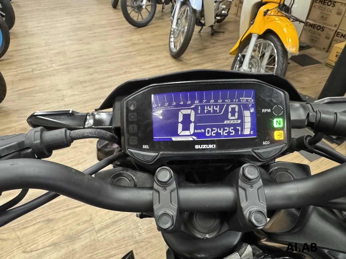 SUZUKI/鈴木 GSX-S150 2019款 車輛照片