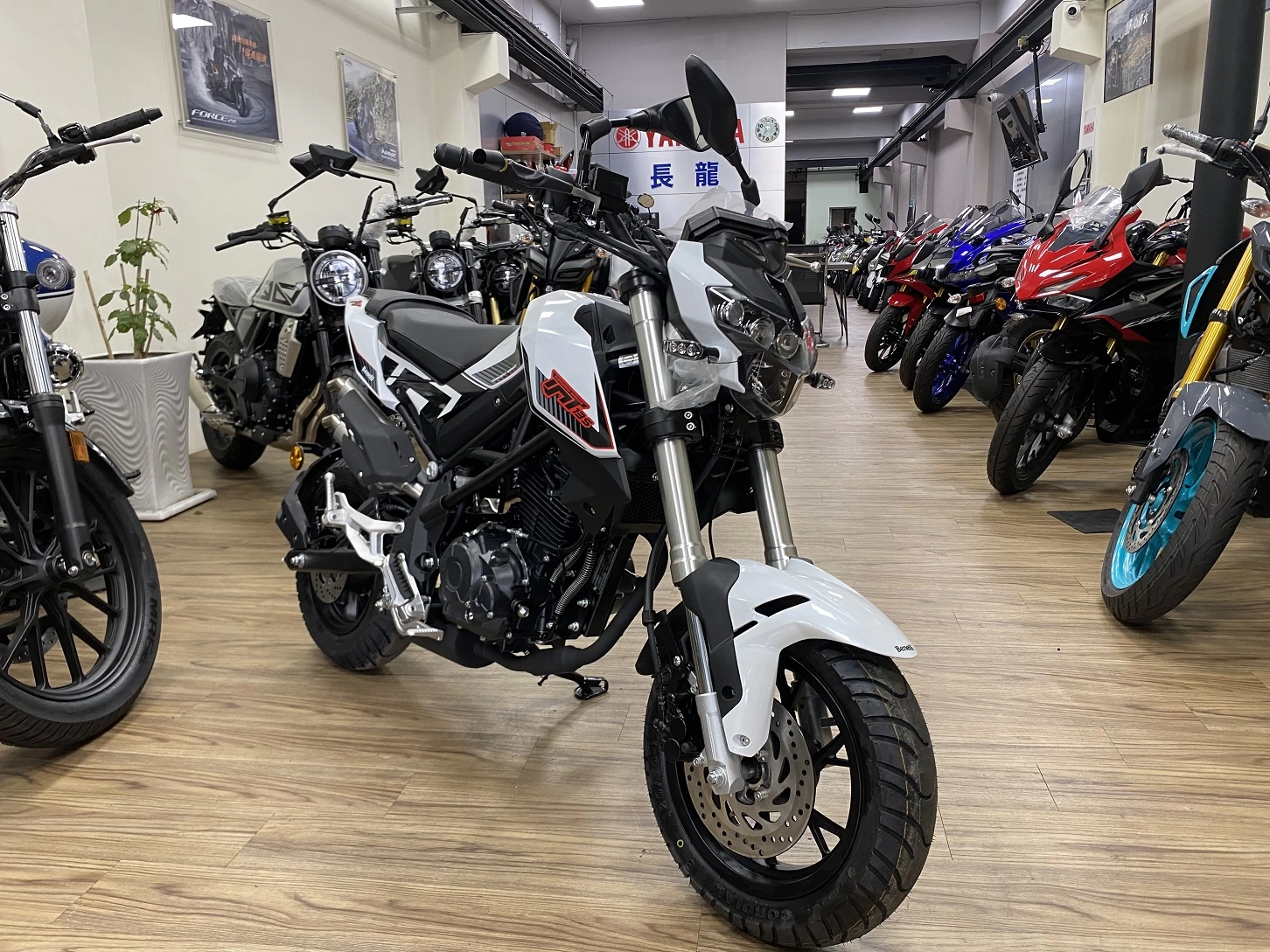 其他 BENELLI TNT 135 2022款 車輛照片