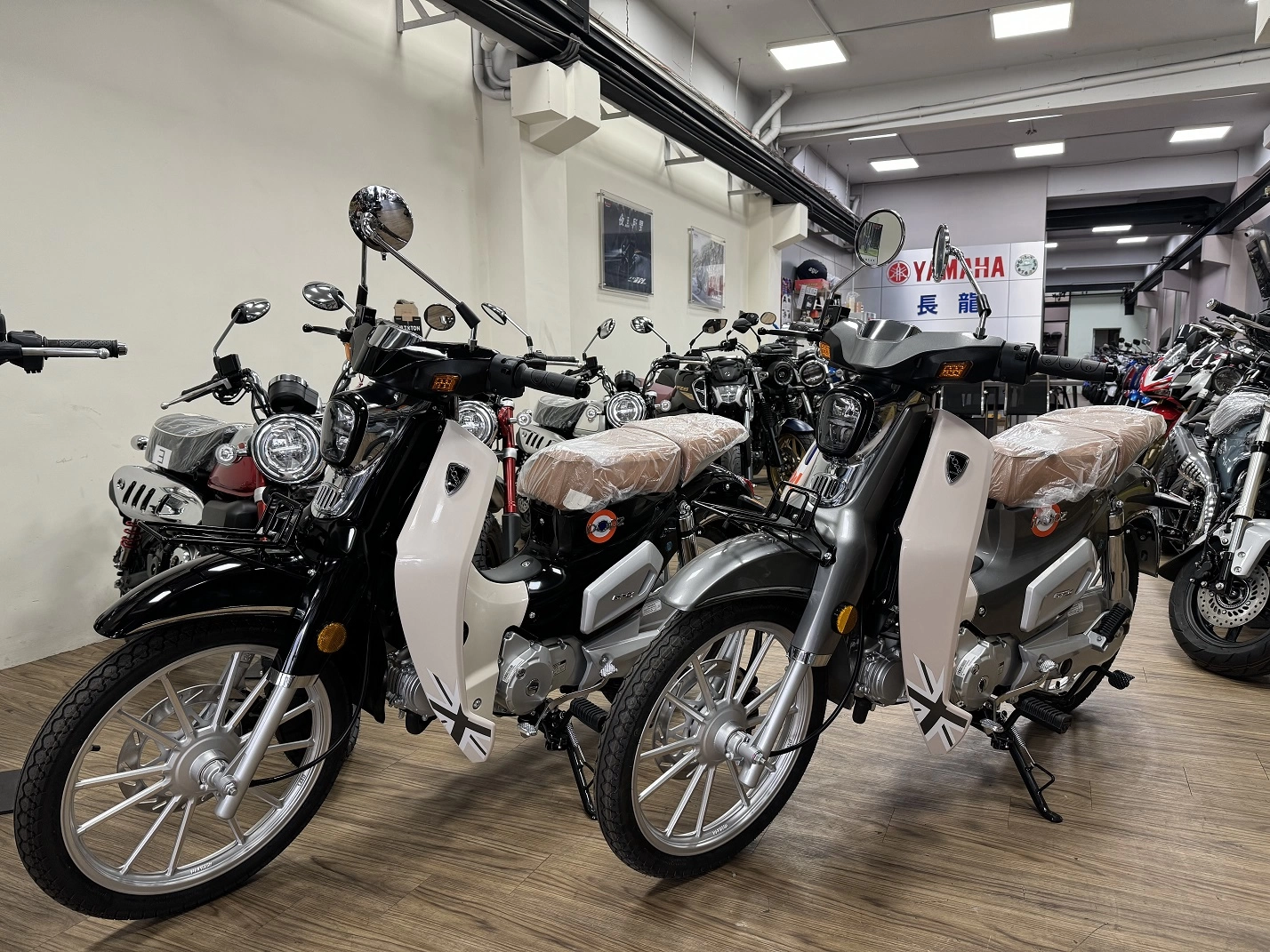 其他 GPX POPz 125 CBS 2023款 車輛照片