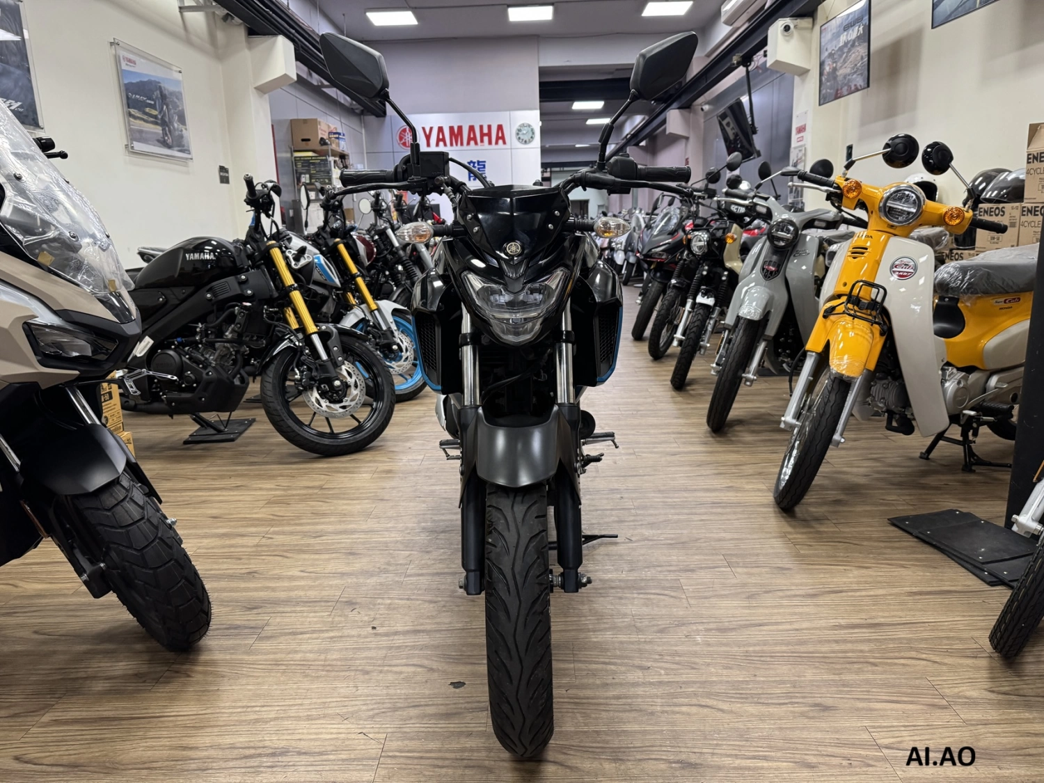 YAMAHA/山葉 FZ25 ABS 2019款 車輛照片